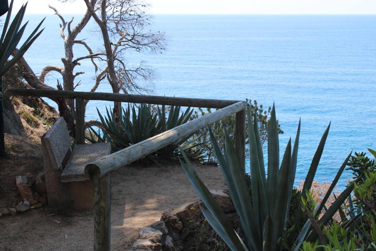 Apartamento A 100M De La Playa Tossa de Mar Extérieur photo